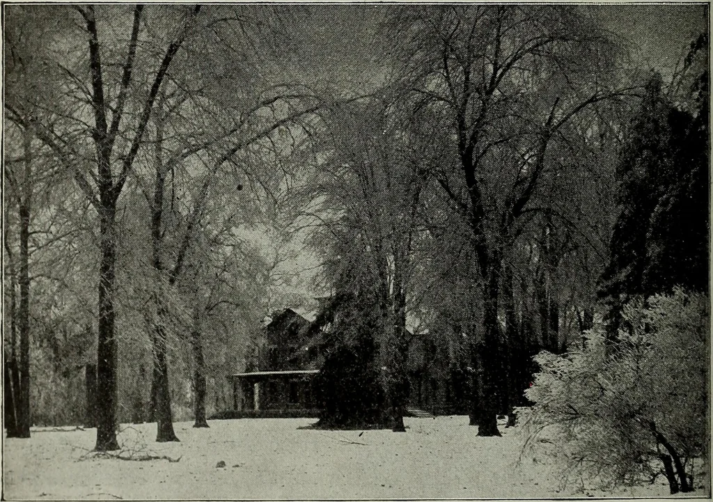 An illustration from Ohio archæological and historical quarterly, 1887, leaf 359