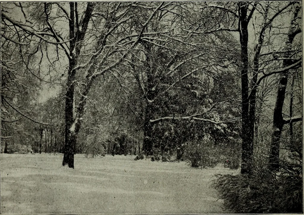 An illustration from Ohio archæological and historical quarterly, 1887, leaf 361