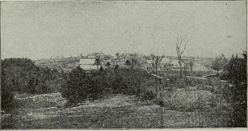 An illustration from Ohio archæological and historical quarterly, 1887, leaf 91