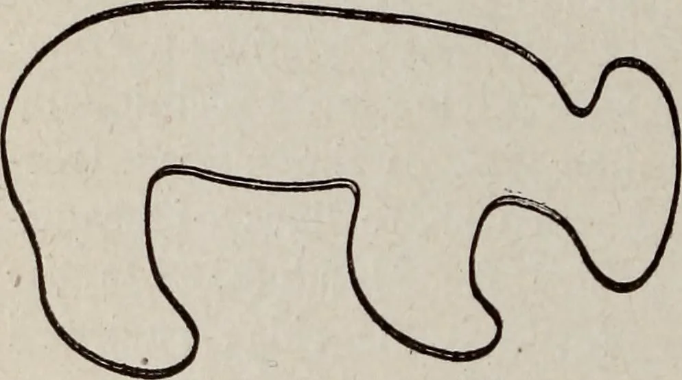 An illustration from Ohio archæological and historical quarterly, 1887, leaf 349