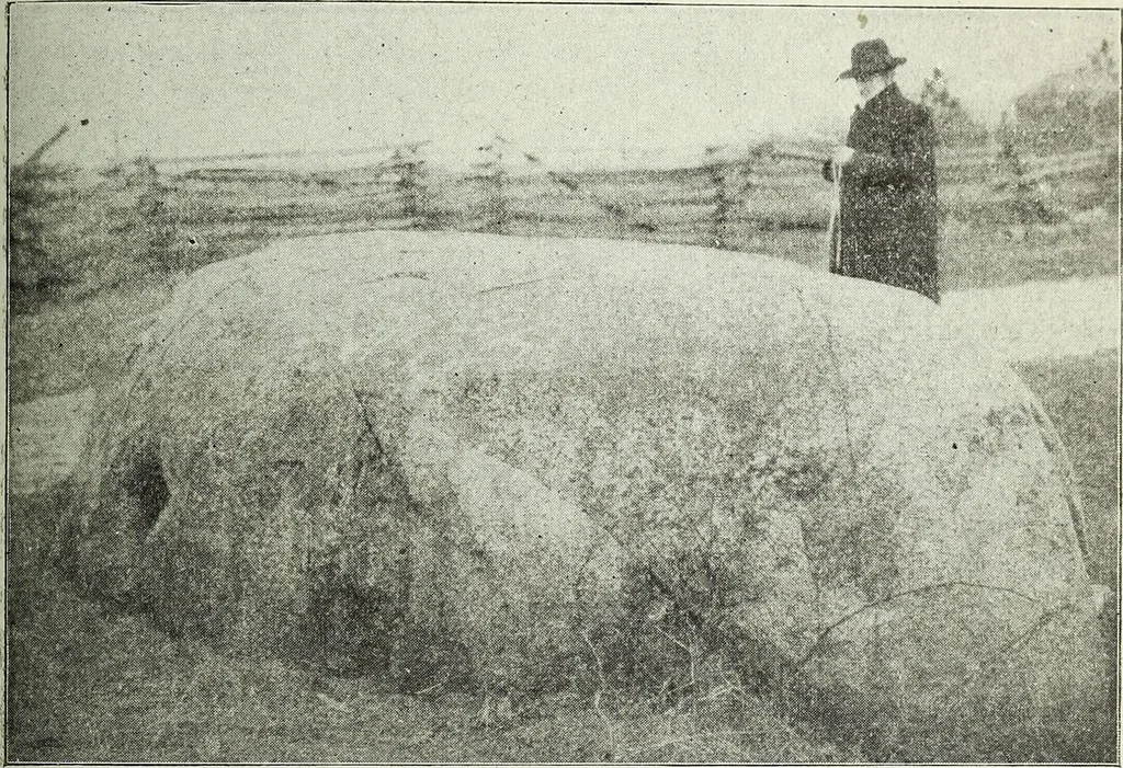 An illustration from Ohio archæological and historical quarterly, 1887, leaf 374