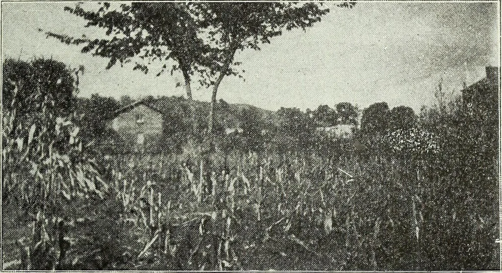 An illustration from Ohio archæological and historical quarterly, 1887, leaf 422