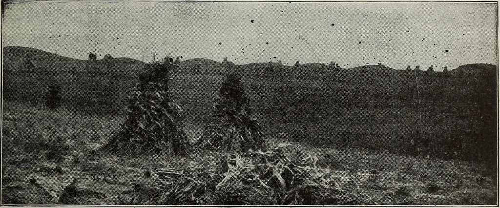 An illustration from Ohio archæological and historical quarterly, 1887, leaf 18