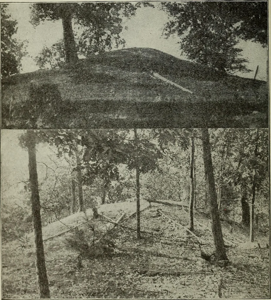 An illustration from Ohio archæological and historical quarterly, 1887, leaf 19