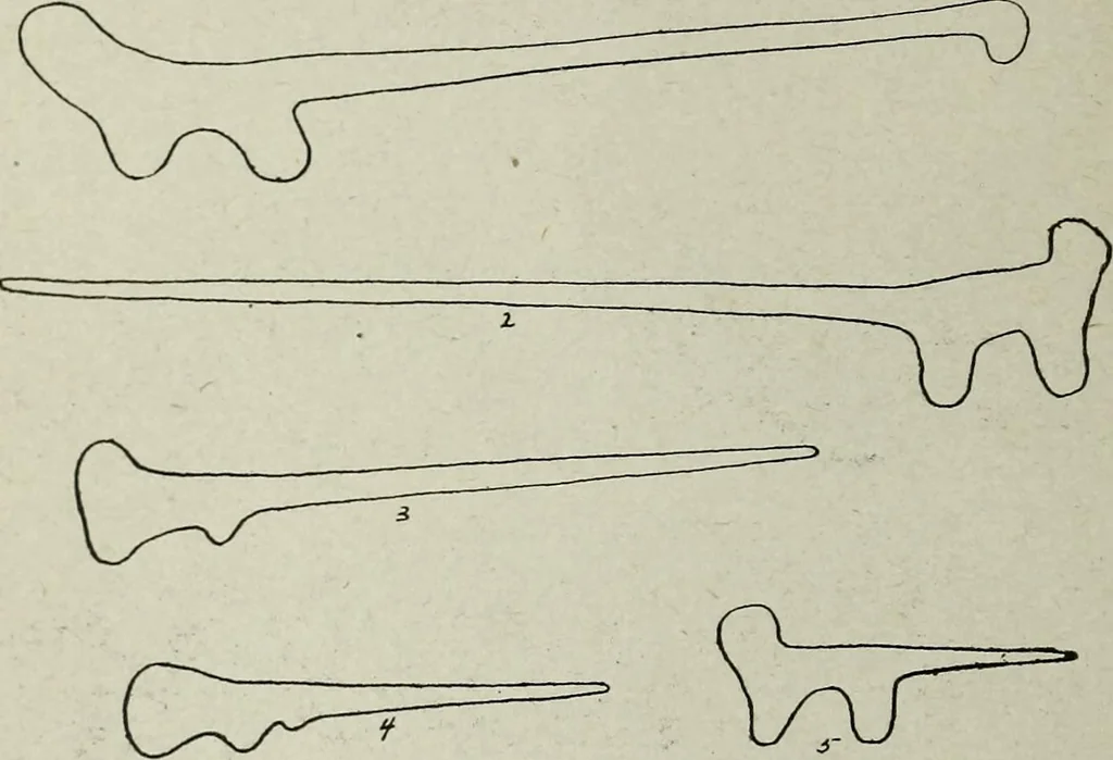 An illustration from Ohio archæological and historical quarterly, 1887, leaf 25
