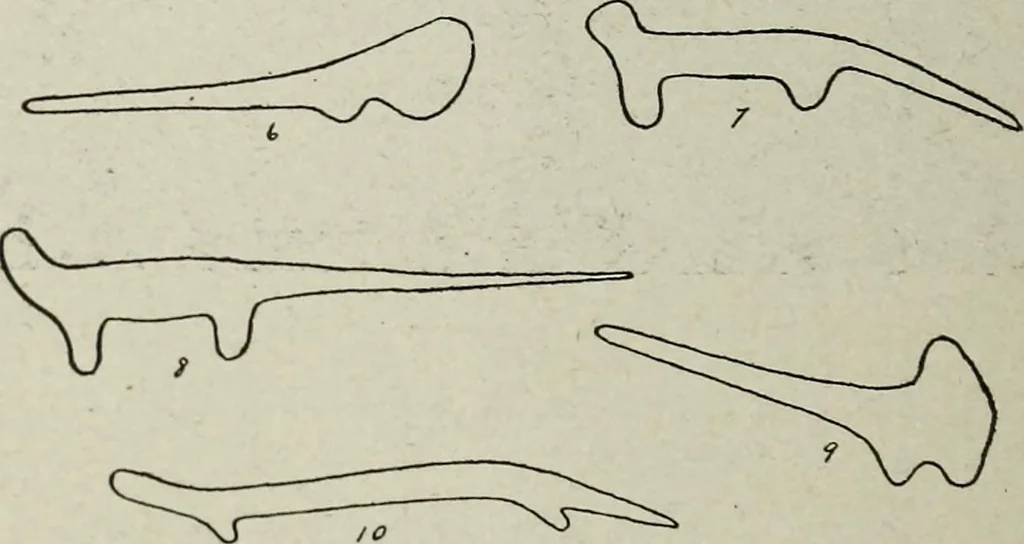 An illustration from Ohio archæological and historical quarterly, 1887, leaf 25