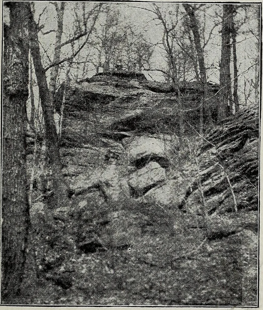 An illustration from Ohio archæological and historical quarterly, 1887, leaf 266