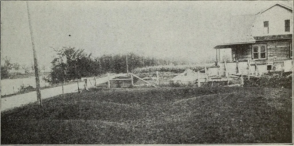 An illustration from Ohio archæological and historical quarterly, 1887, leaf 36