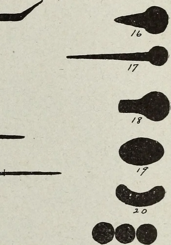 An illustration from Ohio archæological and historical quarterly, 1887, leaf 38