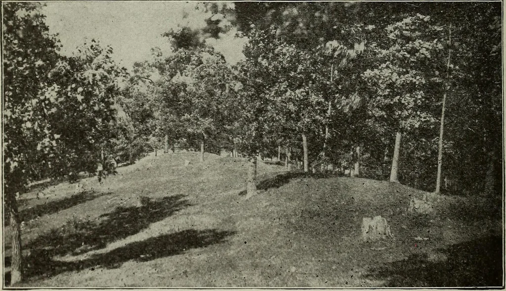 An illustration from Ohio archæological and historical quarterly, 1887, leaf 39