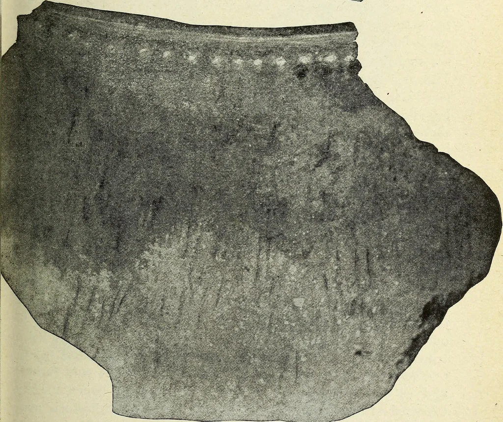 An illustration from Ohio archæological and historical quarterly, 1887, leaf 198