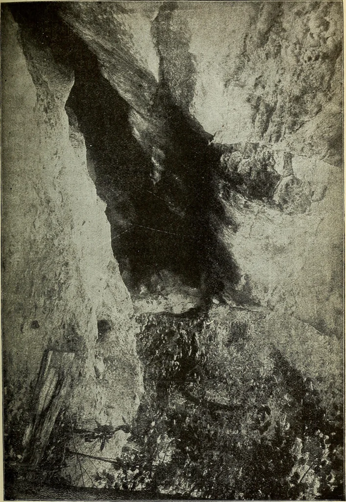 An illustration from Ohio archæological and historical quarterly, 1887, leaf 208