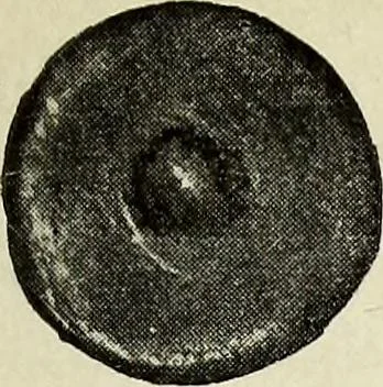 An illustration from Ohio archæological and historical quarterly, 1887, leaf 216