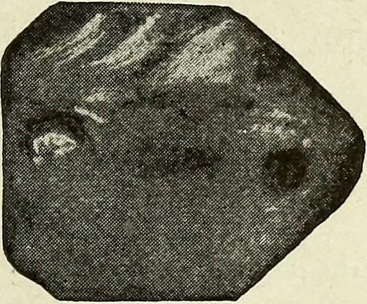 An illustration from Ohio archæological and historical quarterly, 1887, leaf 216