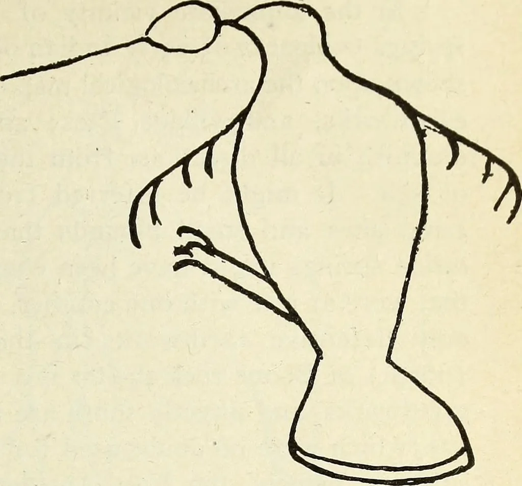 An illustration from Ohio archæological and historical quarterly, 1887, leaf 220