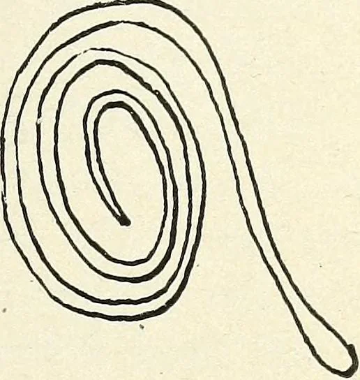 An illustration from Ohio archæological and historical quarterly, 1887, leaf 226