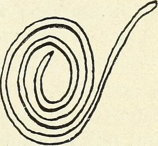An illustration from Ohio archæological and historical quarterly, 1887, leaf 226