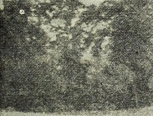 An illustration from Ohio archæological and historical quarterly, 1887, leaf 394