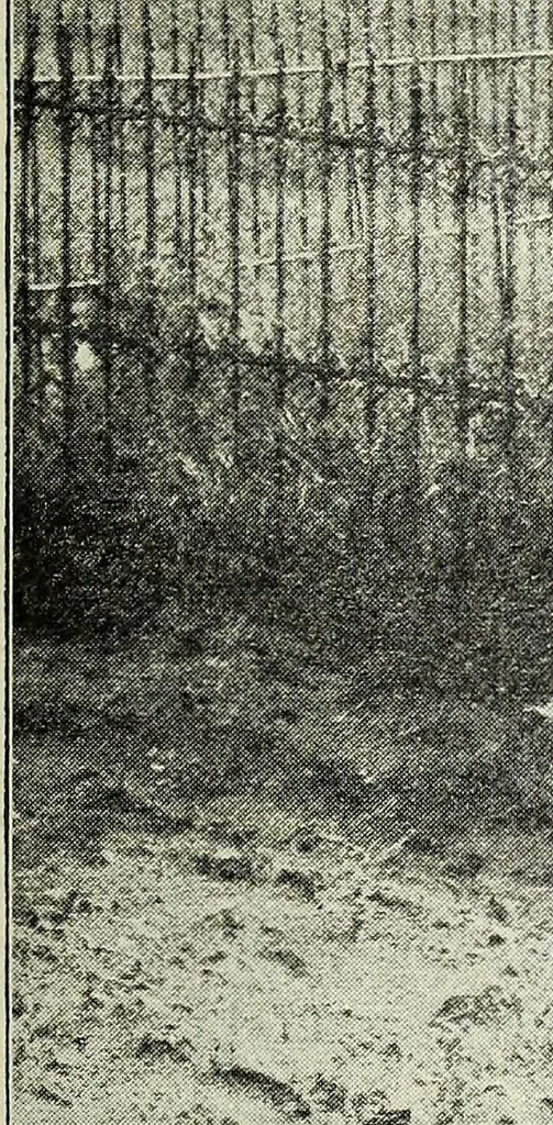 An illustration from Ohio archæological and historical quarterly, 1887, leaf 394
