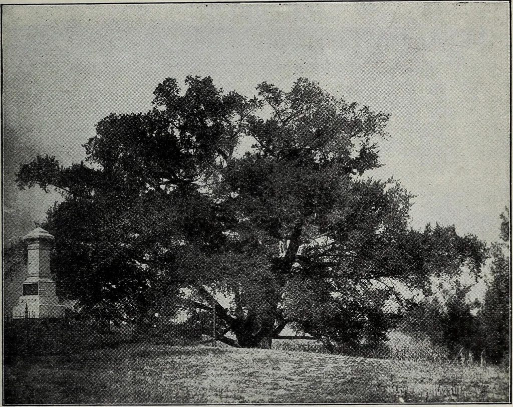 An illustration from Ohio archæological and historical quarterly, 1887, leaf 286