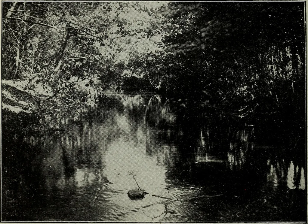 An illustration from Ohio archæological and historical quarterly, 1887, leaf 287