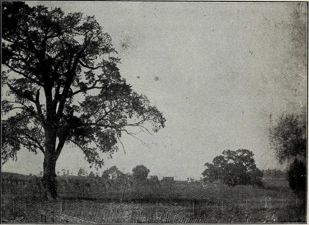An illustration from Ohio archæological and historical quarterly, 1887, leaf 294