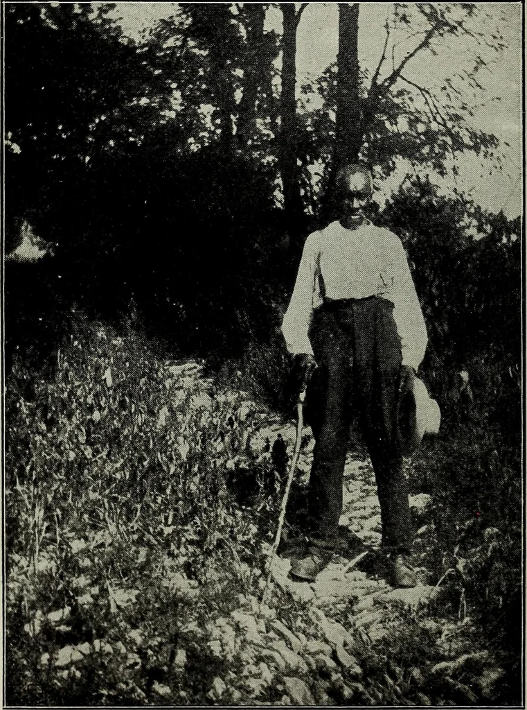 An illustration from Ohio archæological and historical quarterly, 1887, leaf 323