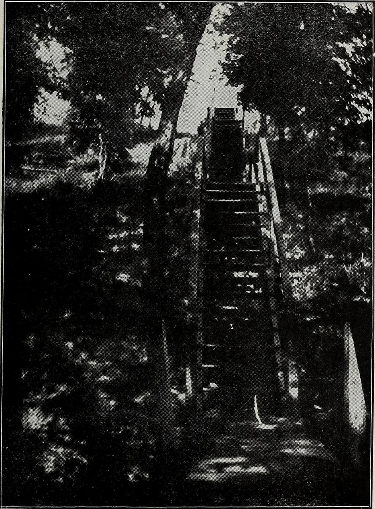 An illustration from Ohio archæological and historical quarterly, 1887, leaf 330