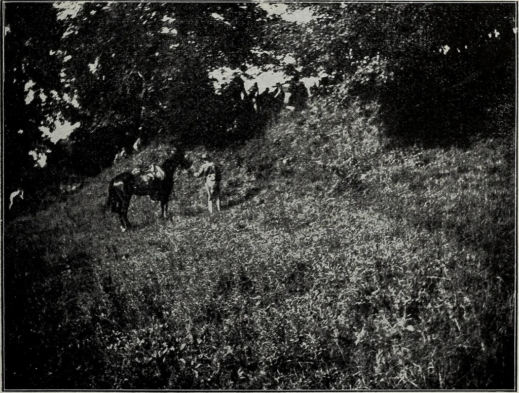 An illustration from Ohio archæological and historical quarterly, 1887, leaf 332