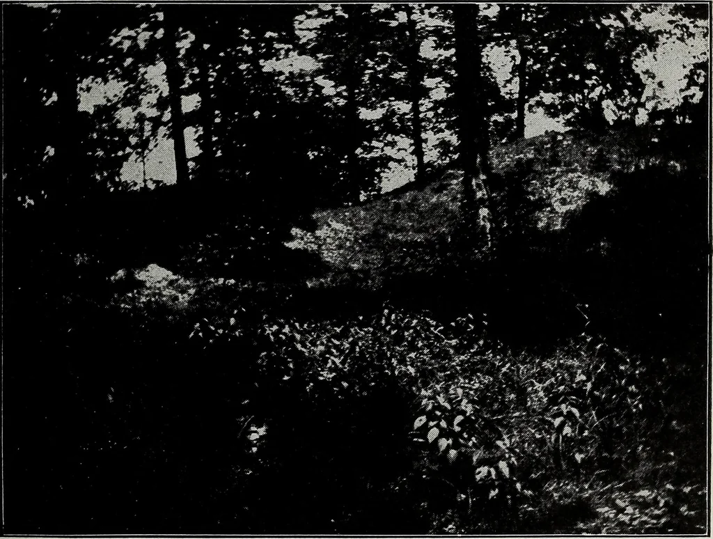 An illustration from Ohio archæological and historical quarterly, 1887, leaf 334