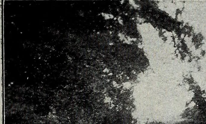 An illustration from Ohio archæological and historical quarterly, 1887, leaf 104