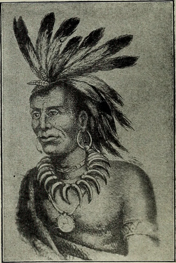An illustration from Ohio archæological and historical quarterly, 1887, leaf 119