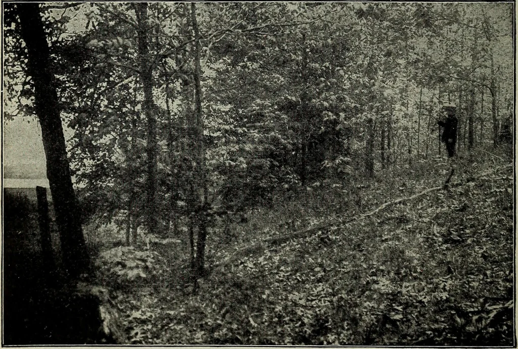 An illustration from Ohio archæological and historical quarterly, 1887, leaf 125