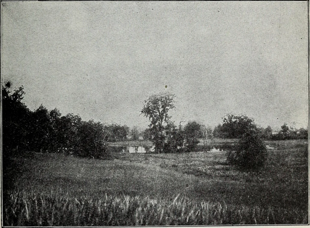 An illustration from Ohio archæological and historical quarterly, 1887, leaf 148