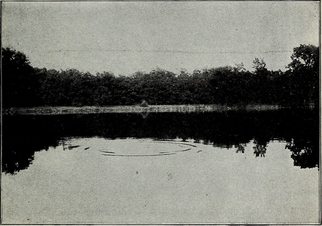 An illustration from Ohio archæological and historical quarterly, 1887, leaf 150