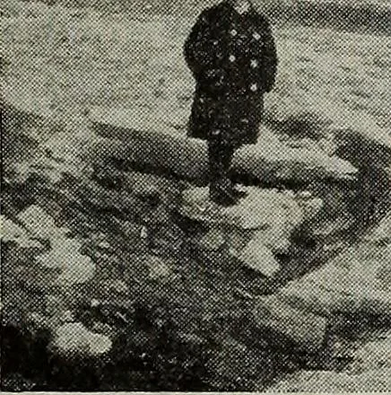 An illustration from Ohio archæological and historical quarterly, 1887, leaf 598