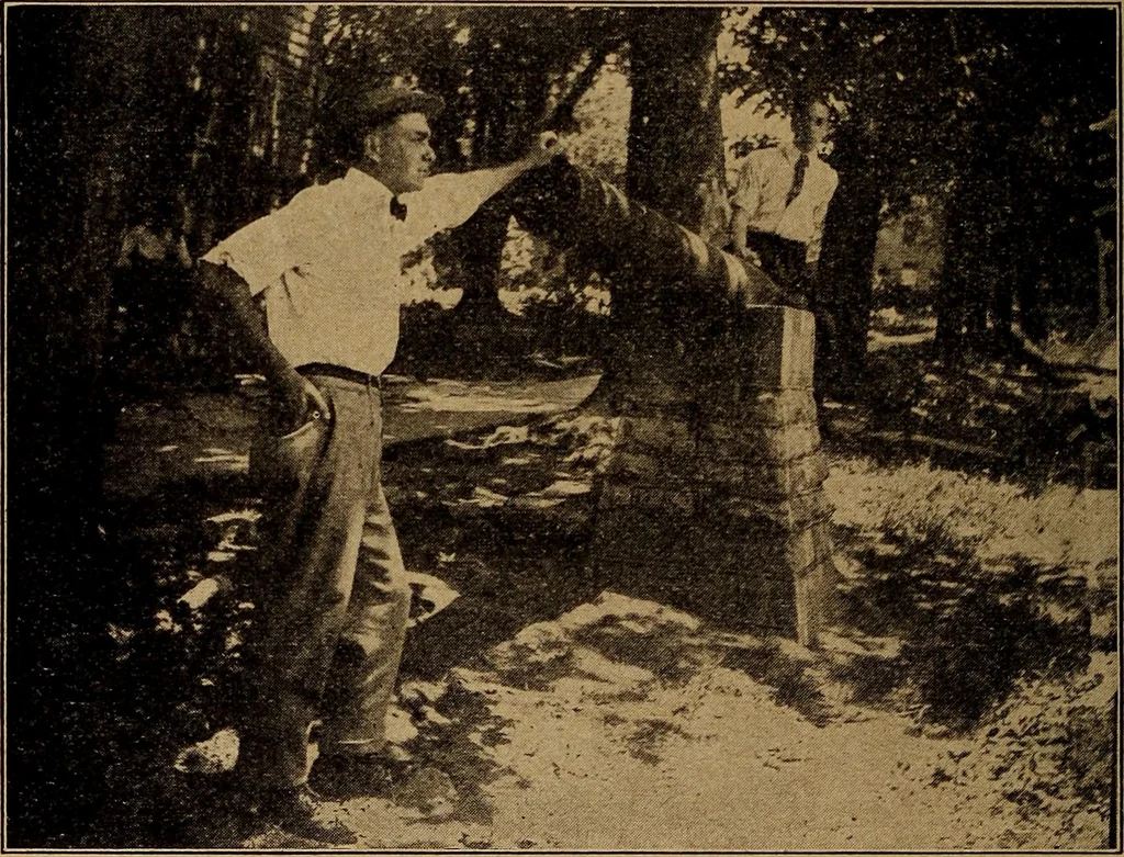 An illustration from Ohio archæological and historical quarterly, 1887, leaf 127