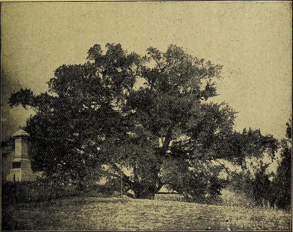 An illustration from Ohio archæological and historical quarterly, 1887, leaf 154