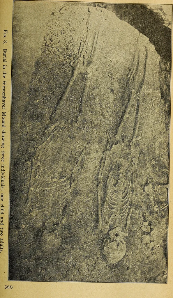 An illustration from Ohio archæological and historical quarterly, 1887, leaf 242