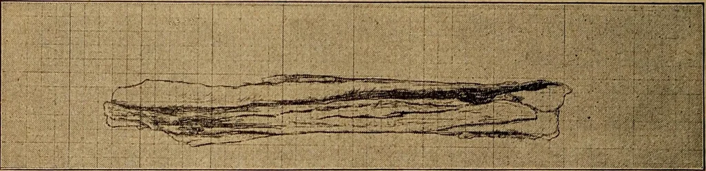 An illustration from Ohio archæological and historical quarterly, 1887, leaf 259
