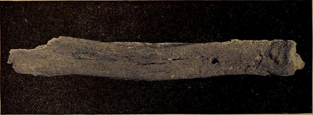 An illustration from Ohio archæological and historical quarterly, 1887, leaf 259
