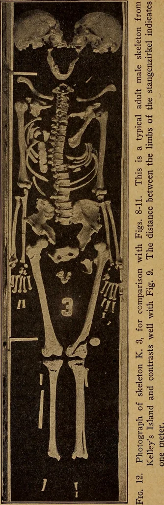 An illustration from Ohio archæological and historical quarterly, 1887, leaf 261