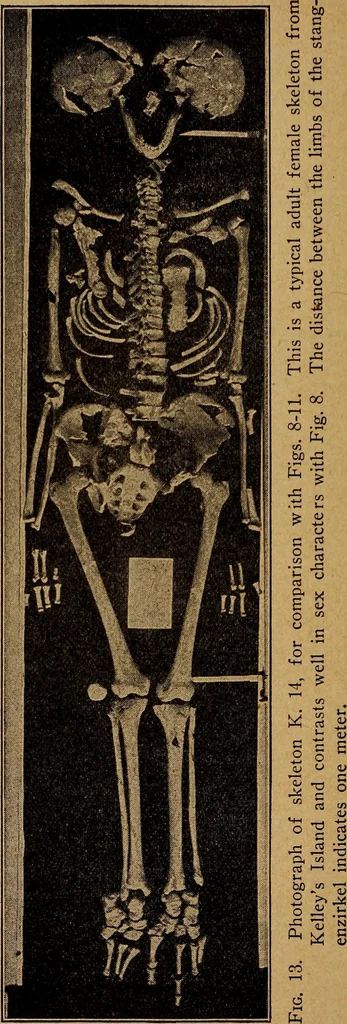 An illustration from Ohio archæological and historical quarterly, 1887, leaf 263