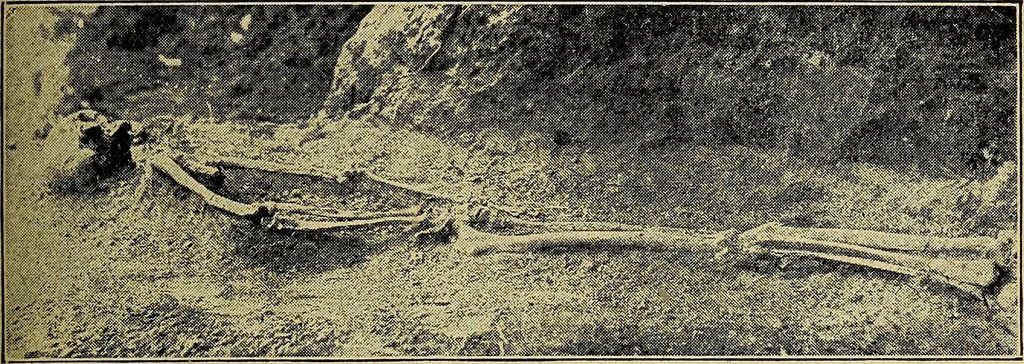 An illustration from Ohio archæological and historical quarterly, 1887, leaf 266