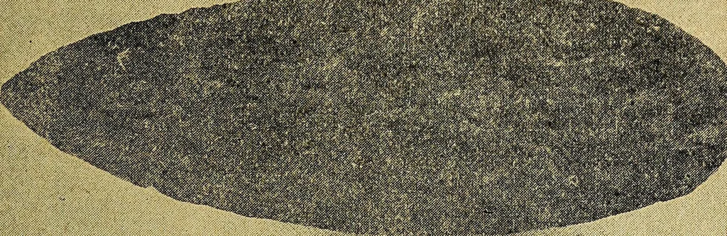 An illustration from Ohio archæological and historical quarterly, 1887, leaf 268