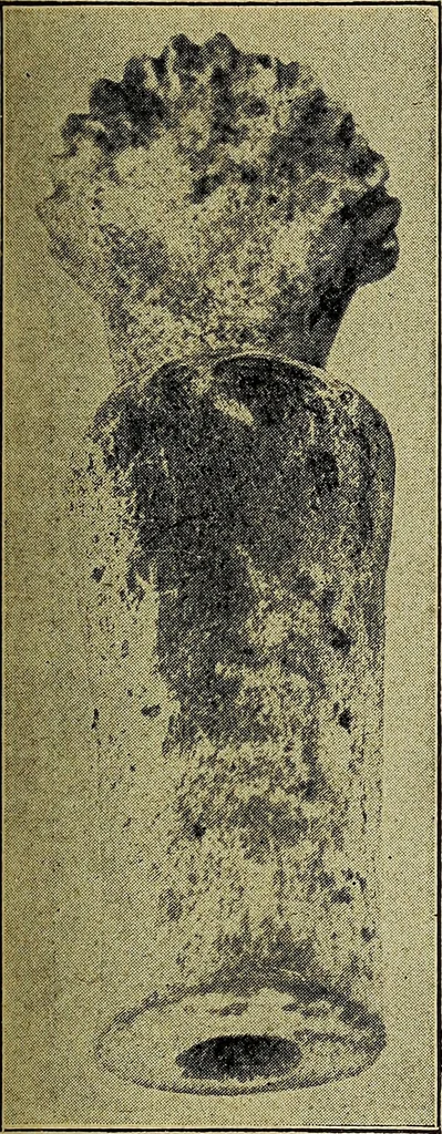 An illustration from Ohio archæological and historical quarterly, 1887, leaf 270
