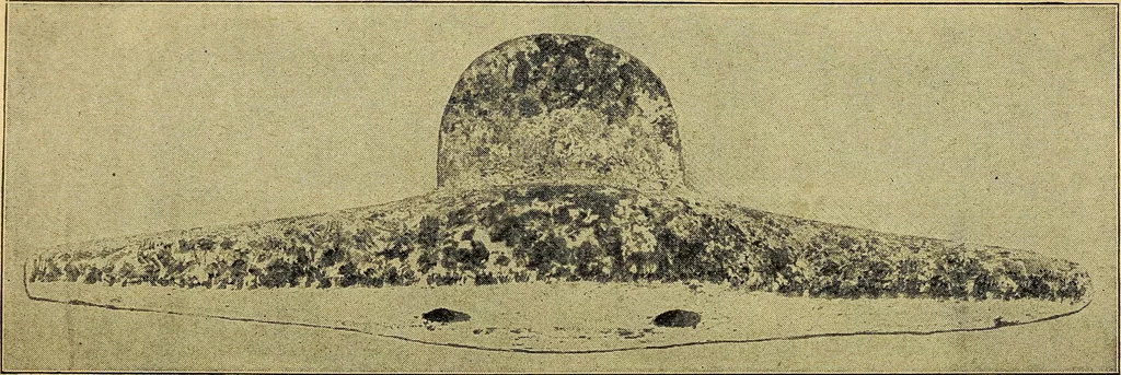 An illustration from Ohio archæological and historical quarterly, 1887, leaf 272