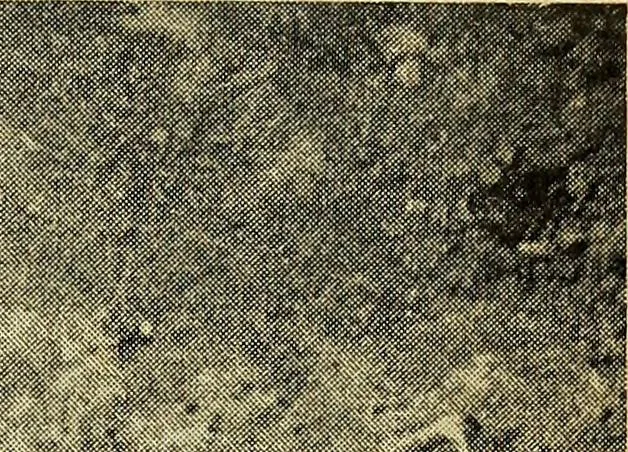 An illustration from Ohio archæological and historical quarterly, 1887, leaf 322
