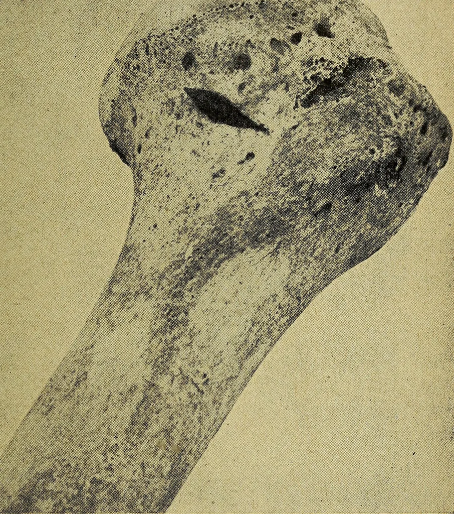 An illustration from Ohio archæological and historical quarterly, 1887, leaf 324