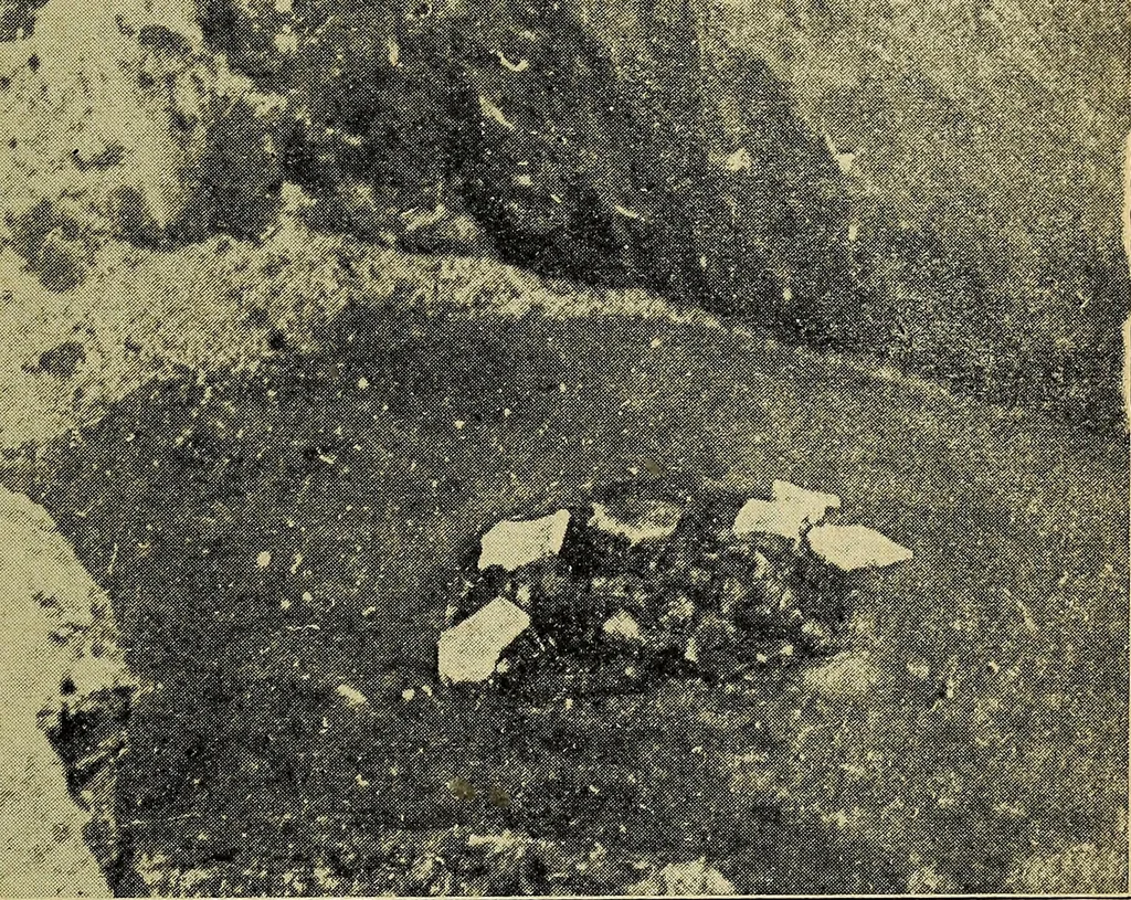 An illustration from Ohio archæological and historical quarterly, 1887, leaf 330